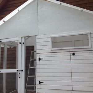 A double door that opens to the hen house for easy clean up. And a window (still need to put hardware cloth & cover) for ventilation.
