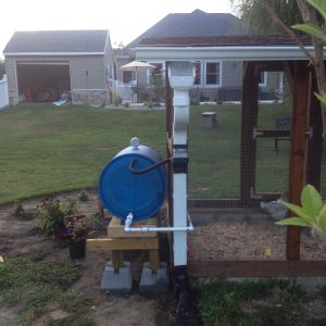 completed rain barrel watering system