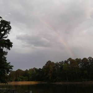 Rainbow over the lake in front of my house!
