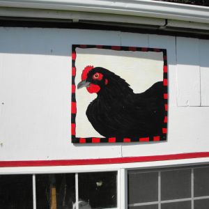 I Painted this New Sign for the Chicken  Coop.