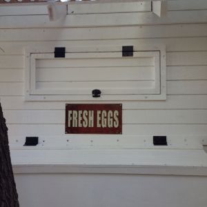 Putting the finishing touches to the layer coop