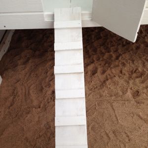the ramp (3 inches steps apart)