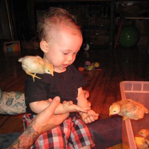 introducing the little guys to my little guy