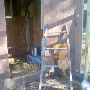 The Coop