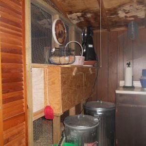 The yard barn is 8' x 10'. The inside is divided into a 4' x 8' coop and a 6' x 8' potting/gardening shed. My husband framed the inside dividing wall and used an old louvered door for the "people door". The rest of the wall is made up of chicken wire and an electric fan circulates air.