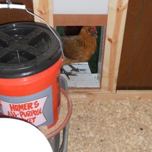 Chicken pop door. I used a vinyl cutting board that slides in a frame.