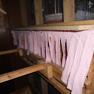 The nest boxes are covered in privacy curtains.