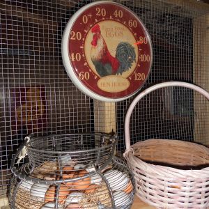 $5 wire chicken egg basket with ceramic eggs. I use the eggs to train the chickens to use the nest boxes. Rooster thermometer hangs on the dividing coop wall.