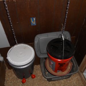 Pictures of the oyster shell in PVC pipe, the feeder and waterer made from 5 gallon buckets.