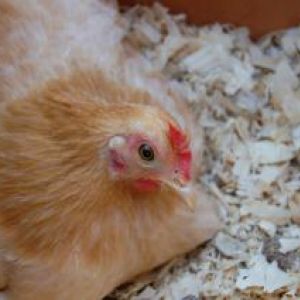 Photo does not belong to me.