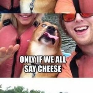 Photo does not belong to me.