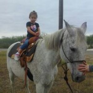 cheyenne riding...