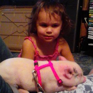 cheyenne with micro piglet...