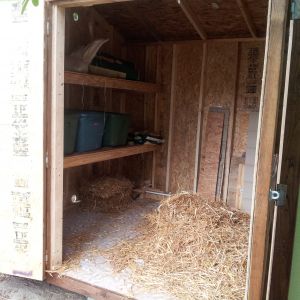 Just putting straw down