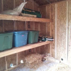 Shelves DH built for storage, left side