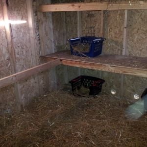 Nesting boxes put down