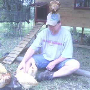 The big rooster.