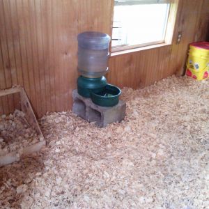 The waterer is an old dog waterer on a cinder block to keep it off the floor and hopefully won't get too many shaving thrown in it. The nesting boxes are in the corner ... haven't decided if I should raise them up or not.