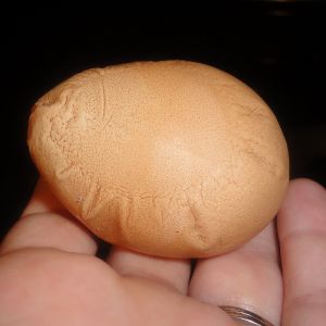 One weird egg!