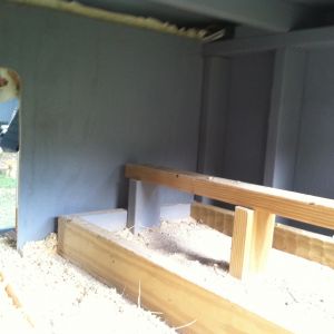 Roost area. Nests are on the left out of camera view