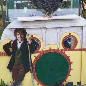 hobbit house chicken coop(still in progress), made out of scraps of wood. has a herb garden on the top, and the roof of the chicken run is an old pickup truck camper shell.