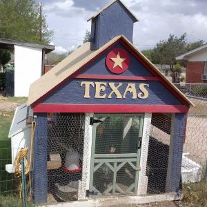 Chicken coop was done with recycled wood and left over paint. Penitas, Texas. Letters are cut from 1/4 inch plywood.
