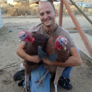 2012-11-22 16.13.50 Derek and Turkeys.jpg