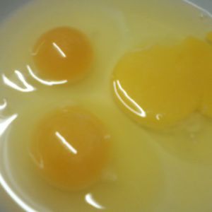 Our first two yolks compared to a commercial egg.