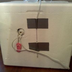 This is the back. I ran a hose with a squeeze bottle so I can add more water if needed for humidity. Notice the cute flip flop pull chain. I bought the lamp with intentions of putting it in my daughters room after I was done with first incubation. I'm not sure its going to make it there.