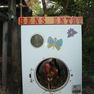 Hens Entry
