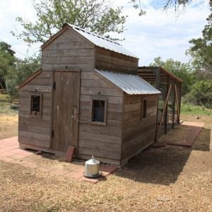 Front view of the Guinea Coop - Chilton