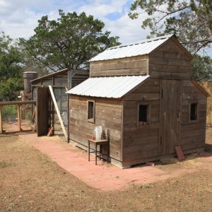 Guinea coop and run with dividing wall