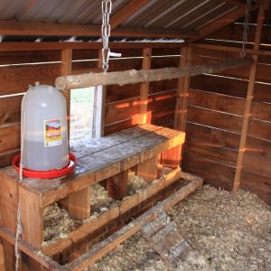 Inside the Chilton -  boxes, water feeder before nipple and indoor cedar swing