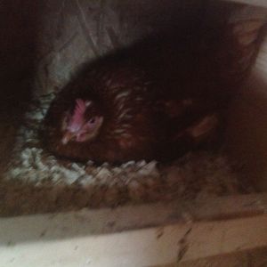 Breakfast soon to come! Hehe