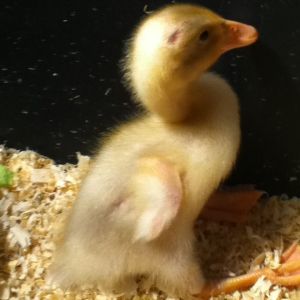 Cutie pie!