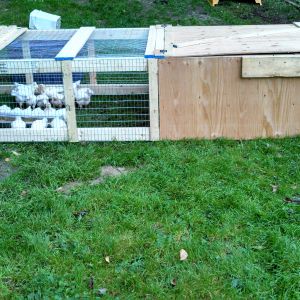 New chicken tractor for my meaties.