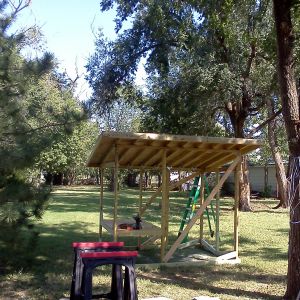 Second weekend working on the coop (3rd day of construction).
