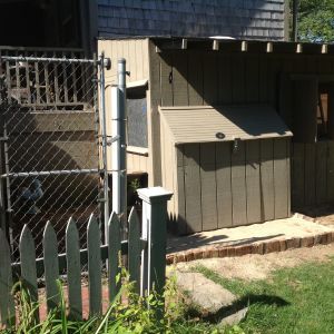 Ordered chain link to complete fencing for access and nesting box area