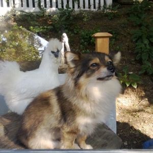 She's behind me isn't she?