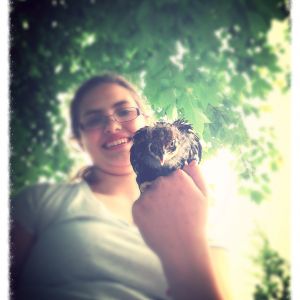 Teri doing her best eagle stare while perched upon my niece.