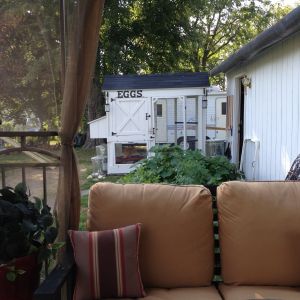 My view from my favorite seat in the gazebo.