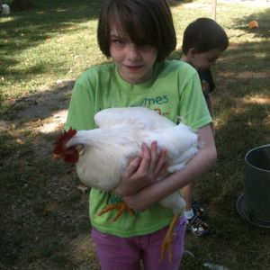 Our oldest, holding a friend's hen while we were picking up our girls