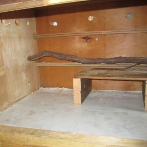 Close up of top level with water vine roost bar
