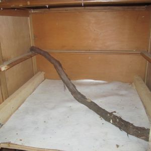 Close up of lower level with to be installed water vine roost bar