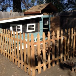 Fence is almost complete. added a smaller picket in between each of these, to keep my hens in and my dogs (3 pounds) out. My hens are bigger than my dogs! Lol