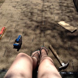 Shingles on the roof. NICE!!!