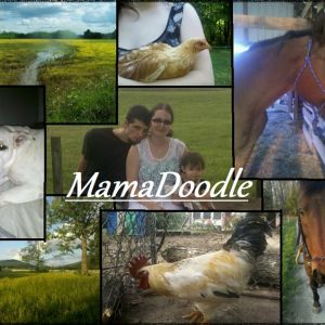 ~~~~~~~~~~~~~~~~~~~~~~~~~~~~~~~~~
- Married 09/20/2013
- Owns five horses, five chickens, five dogs, a dozen cats, and two fish tanks (mostly rescues)
- One toddler daughter
- Favorite animal: Pig
- Favorite color: Silver
- Hobbies: writing, reading, outdoors
- Job: CNA
~~~~~~~~~~~~~~~~~~~~~~~~~~~~~~~~~