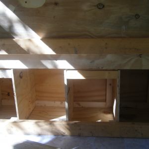 He made the nesting boxes 17" x 17". and 5 boxes.