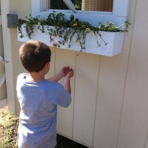 Another great Nephew helping put Flowers in!