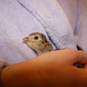 She LOVED to be held...